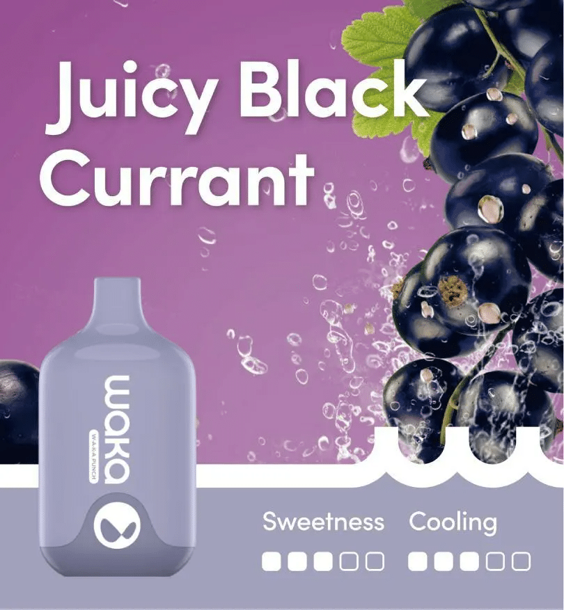 WAKA SMASH JUICY BLACK CURRANT - 6000 PUFFS